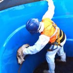 Limpeza de Caixa d'Agua em Vitória ES