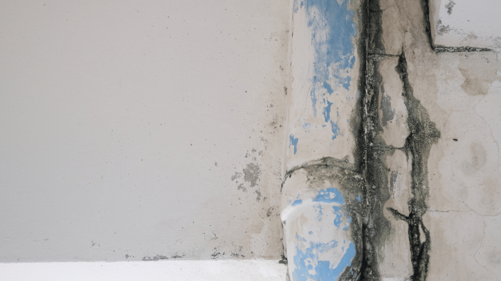 Moraes Soluções Hidráulicas | Dicas para resolver pequenos vazamentos de água